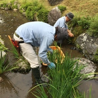 ガーデニング 剪定 お庭の手入れ 庭掃除 運転の画像