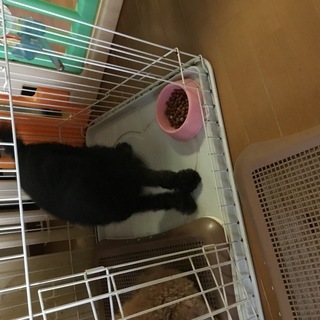 たくさんお問い合わせ頂き、ありがとうございました。
