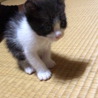 可愛いがってくださる方