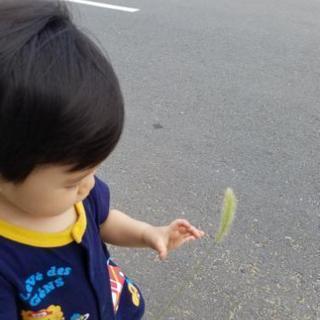 江戸川区在住でママ友募集!!( ＾ω＾ ) - 江戸川区