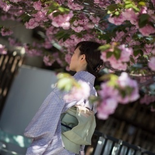 着物が好きな人