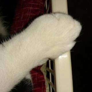 アラフォーですけど… - その他