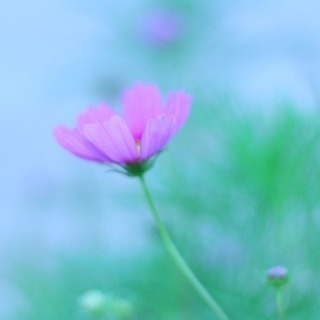 カメラ友達募集‼︎(2017.10.5 内容更新済) − 岡山県