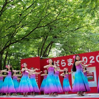 フラダンス・タヒチアンの画像