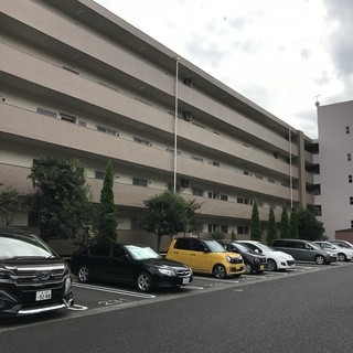 116㎡超の専有面積を活かして理想のリノベーションが実現できます。　 - 柏市