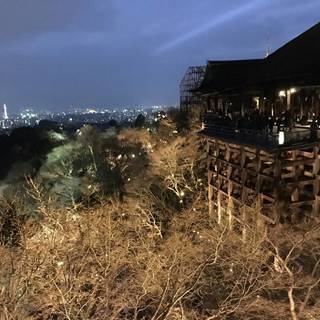グルチャメンバー募集！！ - 京都市