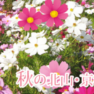 紅葉まっさかり！男女で秋の植物園をおさんぽデート♪植物園の後は北...