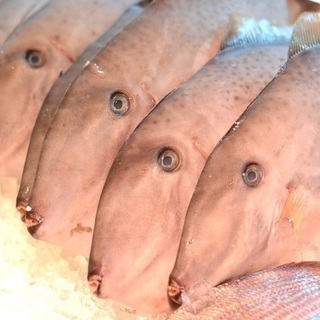 【柳橋市場】魚市場の居酒屋食堂♬魚料理と地酒とビオワインのお店⋆*✩⑅◡̈⃝*  の画像