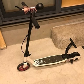 キックボード 足こぎの画像