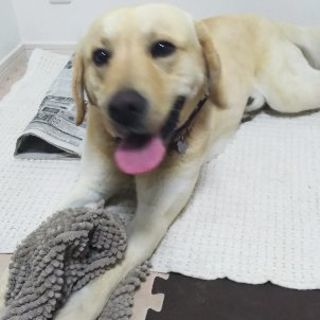 お願いします。