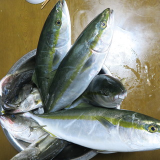 海釣り仲間募集