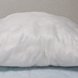 ヌードクッション 大型（65cm×65cm)　2個の画像