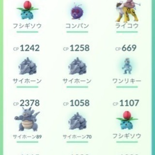 サイホーンの巣に行きませんか？