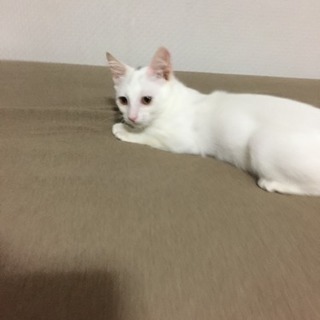 ♡可愛い女の子♡ − 佐賀県