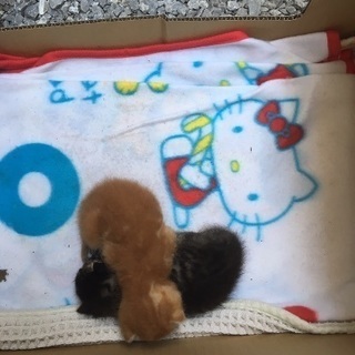 宜しくお願いします