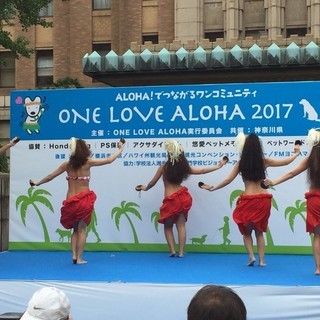 なにか新しいことをしてみたい！そう思った時が始めるタイミング！！本厚木駅前で11月14日(火)より開校します！！の画像