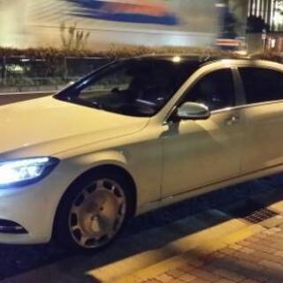役員運転手の画像