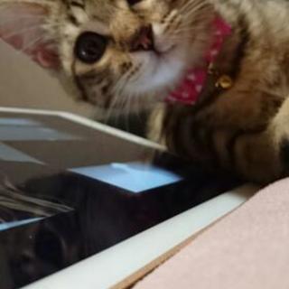 大至急お願いします。２