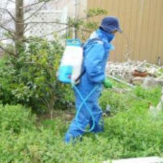 ■■【福岡市】【本】延びきった草・雑草の除草剤散布【福岡グリーン】の画像