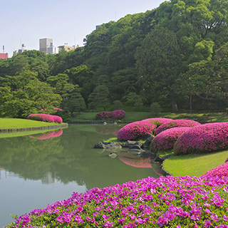 10月29日(10/29)  この時期にしか見れない幻想的な世界...