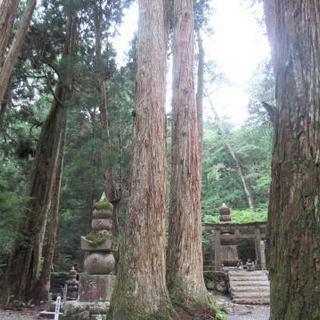 高野山奥の院納骨のご案内 − 千葉県