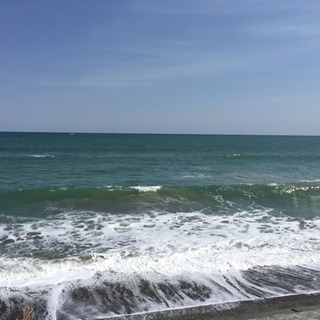 急募！草刈り手伝いお願い致します！