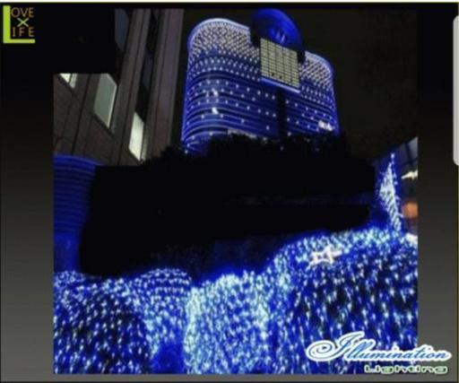 【イルミネーション】LED ネットライト【ブルーホワイト】【256球】