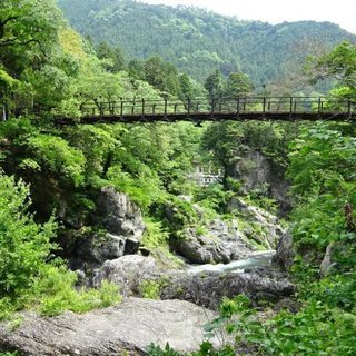 10月29日(10/29)  都心から1時間ちょっとで行く、鳩ノ...