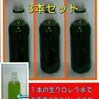 生クロレラ水【500ml】3本