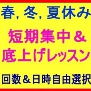 対 面＆オンラインも！英会話★兄弟, 姉妹, 親子！プライベートレッスン！月１回よりレッスン可 ★保護者(ママ、パパさん) 同席可！英会話と英語学習のトータル英語レッスン！の画像