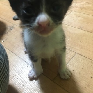 10月初めに産まれました