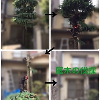 お庭のお手入れ