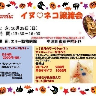 イヌ♡ネコ譲渡会