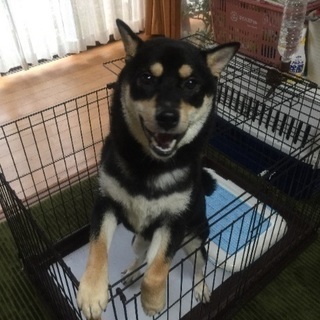 若い方希望