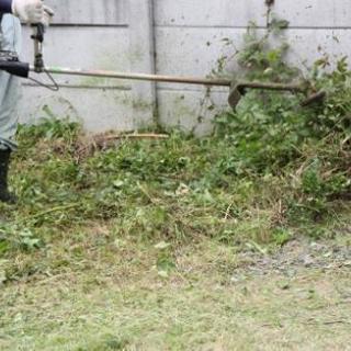 ■■■■福岡県飯塚市【安心】駐車場・空き地の草刈り作業【福岡グリ...