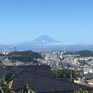 鎌倉市周辺で土日に卓球しませんか？