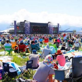 ライヴ！フェス！仲間募集！