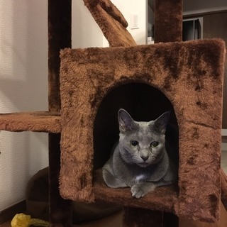 お願いします
