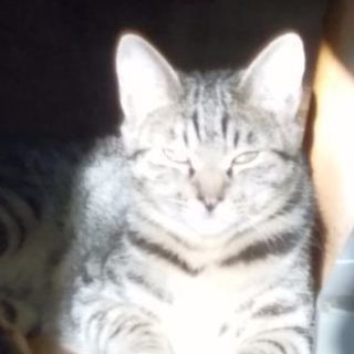 事情があり