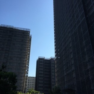 鳶  足場工事