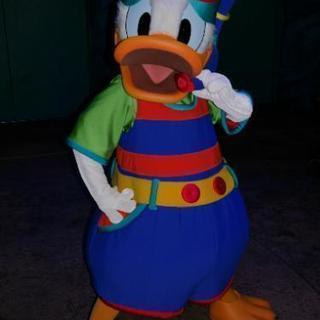 ディズニー平日インしてくれる方*共通年パ - 江戸川区