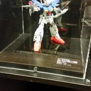 趣味は何かな？私はGUN☆DAMだ