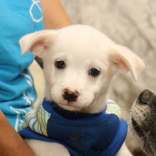 生後2か月元気な男の子