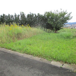 福岡便利屋空き地の草刈り及び原状復帰