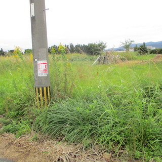 福岡便利屋空き地の草刈り及び原状復帰 - 便利屋