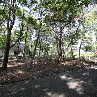 【売主】　栃木県那須塩原市の区画整理された別荘地　土地74坪　南西南東の角地 - 那須塩原市