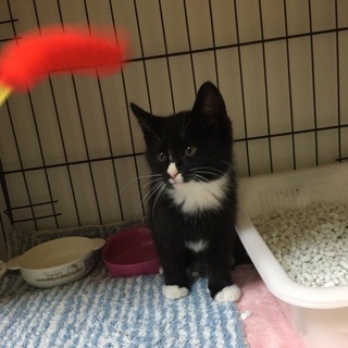 俺っちオレオ♥️