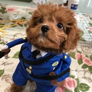 至急お願いします！ - 名古屋市
