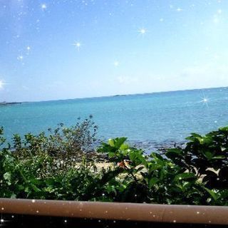 中年沖縄と猫好き　三線ライブで　もり上がりましょう♪ - 千代田区