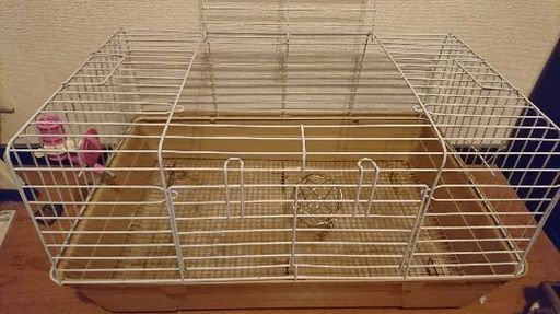 うさぎゲージ・水飲み
